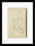 Studies of the head and forelegs of a lioness by Théodore Géricault