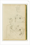 Studies of the head and forelegs of a lioness by Théodore Géricault