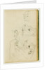 Studies of the head and forelegs of a lioness by Théodore Géricault