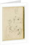 Studies of the head and forelegs of a lioness by Théodore Géricault