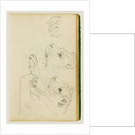 Studies of the head and forelegs of a lioness by Théodore Géricault
