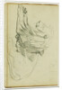 Seated lion by Théodore Géricault