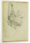 Seated lion by Théodore Géricault