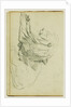 Seated lion by Théodore Géricault