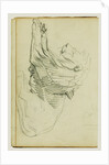 Seated lion by Théodore Géricault