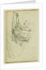 Seated lion by Théodore Géricault