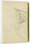 Head on view of seated lion by Théodore Géricault