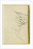 Head on view of seated lion by Théodore Géricault