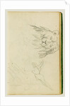 Head on view of seated lion by Théodore Géricault
