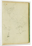 Studies of a seated stag, a fawn, a goat head by Théodore Géricault