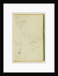 Studies of a seated stag, a fawn, a goat head by Théodore Géricault