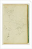 Studies of a seated stag, a fawn, a goat head by Théodore Géricault
