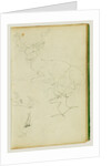 Studies of a seated stag, a fawn, a goat head by Théodore Géricault