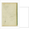 Studies of a seated stag, a fawn, a goat head by Théodore Géricault
