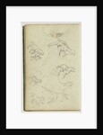 Six studies for man beside a rearing horse by Théodore Géricault