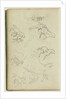 Six studies for man beside a rearing horse by Théodore Géricault