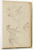 Three horse studies by Théodore Géricault