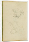 Two studies of a rearing horse by Théodore Géricault