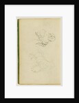 Two studies of a rearing horse by Théodore Géricault