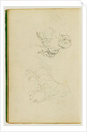 Two studies of a rearing horse by Théodore Géricault