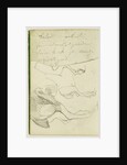 Horse Studies by Théodore Géricault