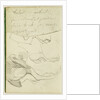Horse Studies by Théodore Géricault