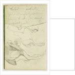 Horse Studies by Théodore Géricault