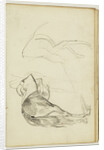 Horse Studies by Théodore Géricault