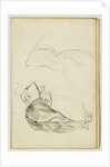 Horse Studies by Théodore Géricault