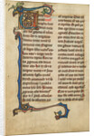 Decorated Initial V by Anonymous