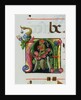 Inhabited Initial A by Anonymous