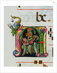 Inhabited Initial A by Anonymous