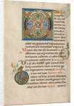 Decorated Initial O, Inhabited Initial D by Anonymous