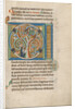 Initial D: Zacchaeus and Christ by Anonymous