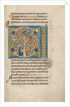Initial D: Zacchaeus and Christ by Anonymous