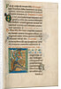 Decorated Initial B by Anonymous