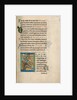 Decorated Initial B by Anonymous