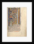 Initial F: The Tree of Jesse by Anonymous