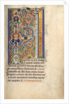 Initial F: The Tree of Jesse by Anonymous