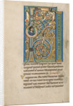 Initial F: The Birth of the Virgin by Anonymous