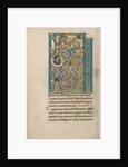 Initial F: The Birth of the Virgin by Anonymous