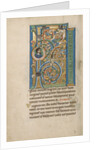 Initial F: The Birth of the Virgin by Anonymous