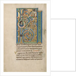 Initial F: The Birth of the Virgin by Anonymous