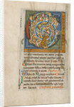 Inhabited Initial C by Anonymous