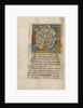 Inhabited Initial C by Anonymous