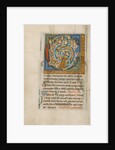 Inhabited Initial C by Anonymous