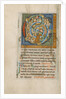 Inhabited Initial C by Anonymous
