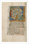 Inhabited Initial C by Anonymous