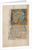 Inhabited Initial C by Anonymous
