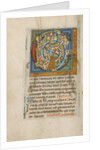 Inhabited Initial C by Anonymous